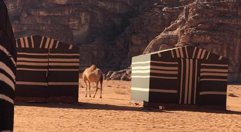 Wadi Rum Desert Heart Camp Hotel Exterior foto